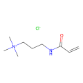(3-丙烯酰胺丙基)三甲基氯化铵(APTAC)