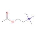 Acetylcholine