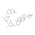 acetyldigitoxin