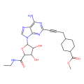 apadenoson