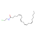 arachidonyl-2-chloroethylamide