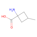 1-amino-3-methyl-cyclobutanecarboxylic acid