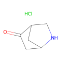 2-azabicyclo[2.2.1]heptan-5-one;hydrochloride