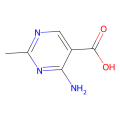 4-amino-2-methylpyrimidine-5-carboxylic acid