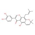 Auriculasin