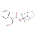 (Rac)-Atropine-d3