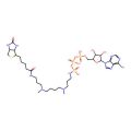 ATP-polyamine-biotin