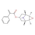 Aposcopolamine