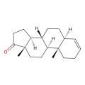 5a-Androst-3-en-17-one