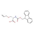 (2S)-3-allyloxy-2-(9H-fluoren-9-ylmethoxycarbonylamino)propanoic acid