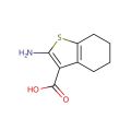 2-氨基-4,5,6,7-四氢苯并[b]噻吩-3-羧酸