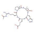 Argadin