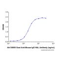 Goat Anti-Mouse IgG H&L Antibody