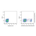 Recombinant CD20 Antibody (PE)
