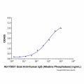 Goat Anti-Human IgG (Alkaline Phosphatase)