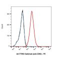 Galiximab (anti-CD80)