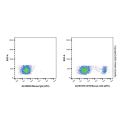 CD19 Mouse mAb (APC)