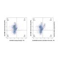 Dendritic Cell Marker Rat mAb