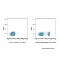 Rat IgG (PerCP-Cy5.5)