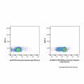 CD272/BTLA Armenian Hamster mAb (PE-Cy7)