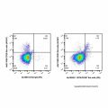 GITR/CD357 Rat mAb (PE)