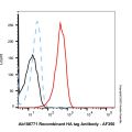 Goat Anti-Rabbit IgG H&L (AF350)