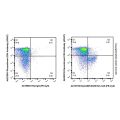 EpCAM/CD326 Rat mAb (PE-Cy5)