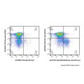 EpCAM/CD326 Rat mAb (PE-Cy7)