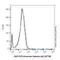 Armenian Hamster IgG (AF750)