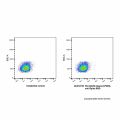 Rat IgG2b-kappa (AF488), anti-Spike RBD