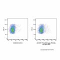 Rat IgG2b-kappa (PE-Cy5), anti-Spike RBD