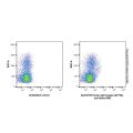 Human IgG1-kappa (AF750), anti-Spike RBD