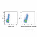 Human IgG1-kappa (PE), anti-Spike RBD