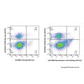 Recombinant c-Kit Antibody (PE-Cy7)