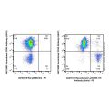 Recombinant Ly76/TER-119 Antibody (Biotin)