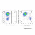 Recombinant Ly76/TER-119 Antibody (AF488)