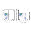 Recombinant Ly76/TER-119 Antibody (AF555)
