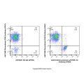 Recombinant Ly76/TER-119 Antibody (AF594)
