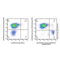 Recombinant Ly76/TER-119 Antibody (AF647)
