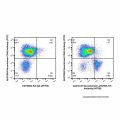 Recombinant Ly76/TER-119 Antibody (AF700)