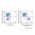 Recombinant Ly76/TER-119 Antibody (PE)