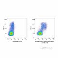 Mouse IgG2b-kappa (Biotin), anti-E8L