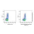 Mouse IgG1-kappa (Biotin), anti-E8L