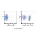 CD45R Rat mAb (AF555)