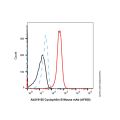 Cyclophilin B Mouse mAb (AF555)