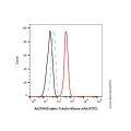 alpha Tubulin Mouse mAb (FITC)