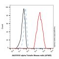 alpha Tubulin Mouse mAb (AF405)