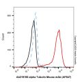 alpha Tubulin Mouse mAb (AF647)