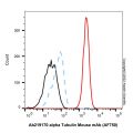 alpha Tubulin Mouse mAb (AF750)