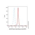 beta Tubulin Mouse mAb (AF647)